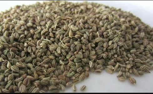 TSM Ganesh Ajwain Seeds 200g