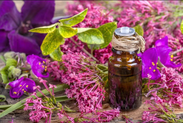 Essential Oil Clary Sage 10ml