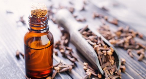 Essential Oil Clove Bud 10ml