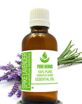 Essential Oil Lavender Spike 10ml