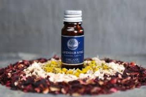 Essential Oil Lavender Spike 25ml
