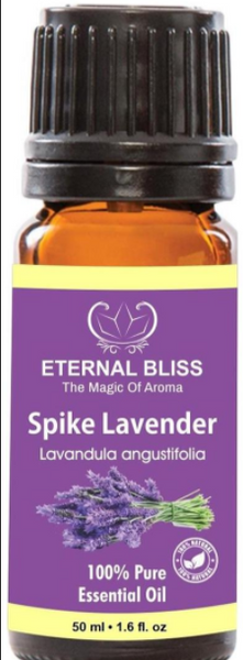 Essential Oil Lavender Spike 50ml