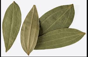 Bay Leaves 100gm TSM