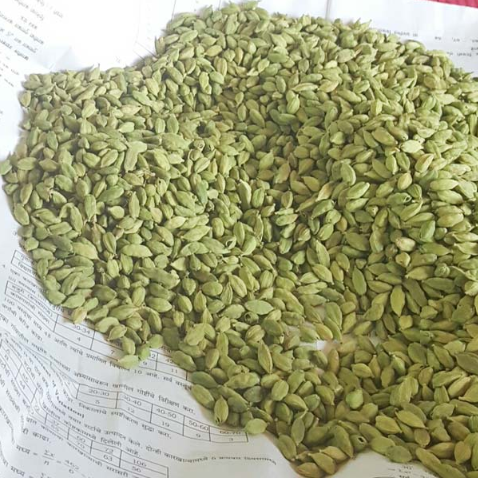 Cardamom Whole Green 9kg