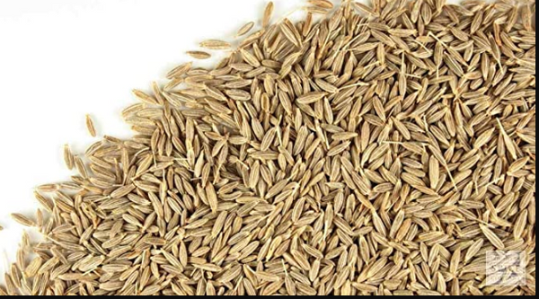 TSM Ganesh Cumin Seeds 200g