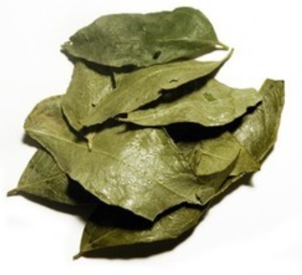 Curry Leaves Dry 50gm TSM