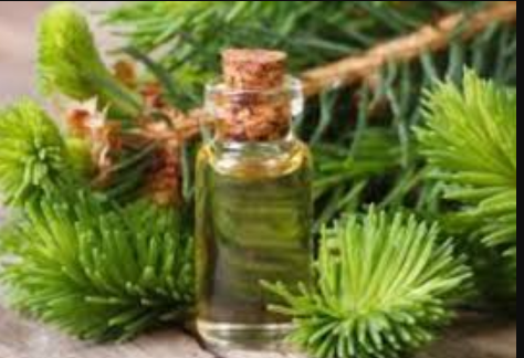 Essential Oil Cedarwood 10ml