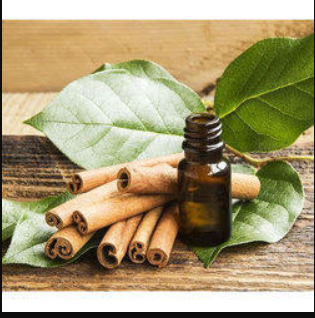 Essential Oil Cinnamon Leaf 10ml