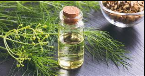 Essential Oil Fennel 10ml