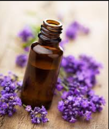 Essential Oil French Lavender 25ml