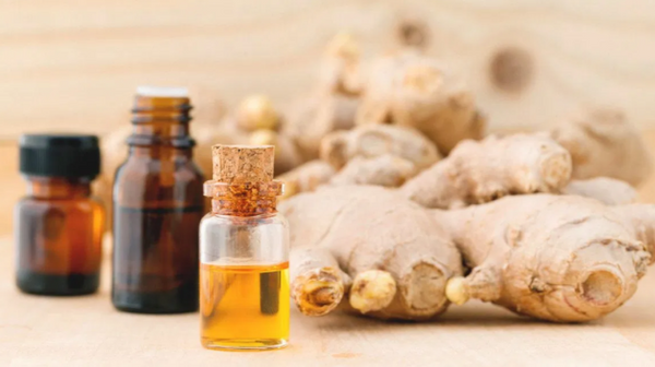 Essential Oil Ginger 10ml