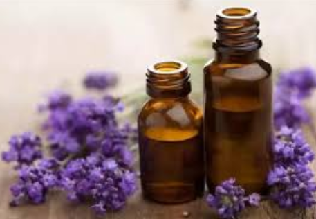 Essential Oil Lavender 100ml