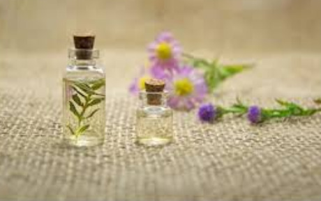 Essential Oil Lavender 10ml