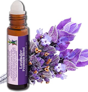 Essential Oil Lavender Blend 10ml