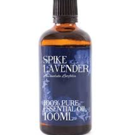Essential Oil Lavender Spike 100ml
