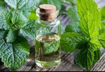 Essential Oil Melissa 10ml