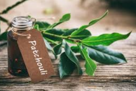 Essential Oil Patchouli 10ml