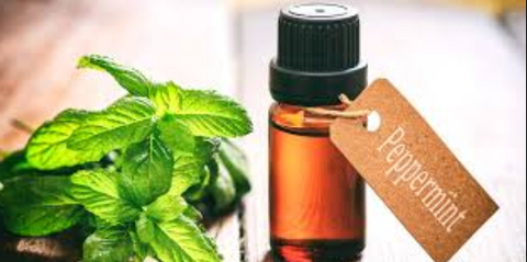 Essential Oil Peppermint 10ml