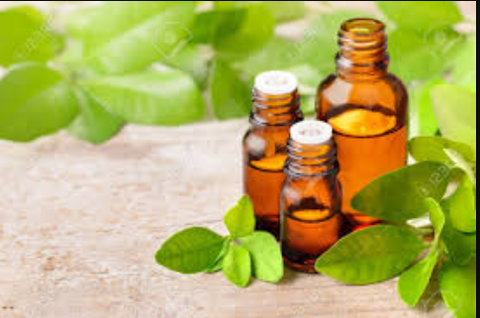 Essential Oil Petitgrain 10ml