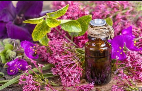 Essential Oil Sage 10ml