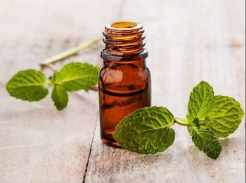 Essential Oil Spearmint 10ml