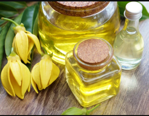 Essential Oil Ylang Ylang 10ml