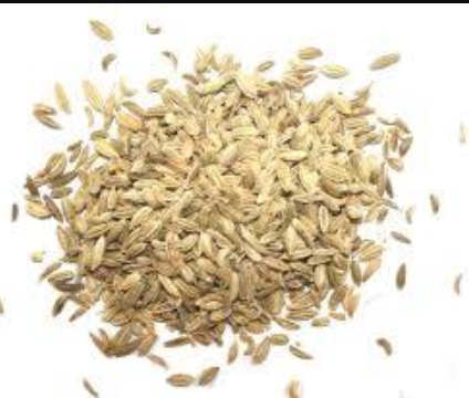 Fennel Seeds 500gm