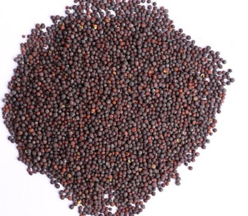 Mustard Seeds 1kg