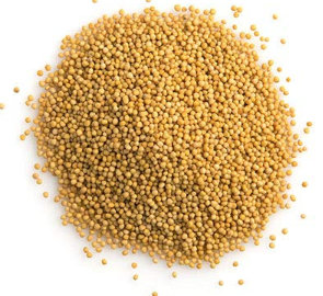 Mustard Seeds Yellow 200g